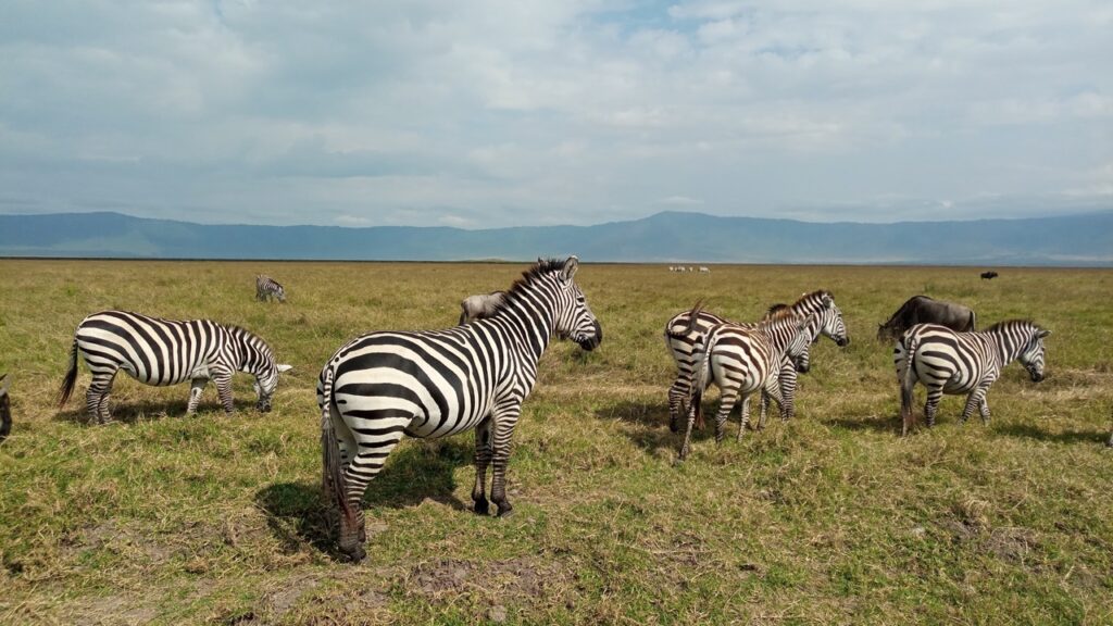 Best time to visit tanzania-2