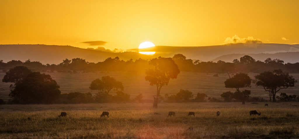 kenya