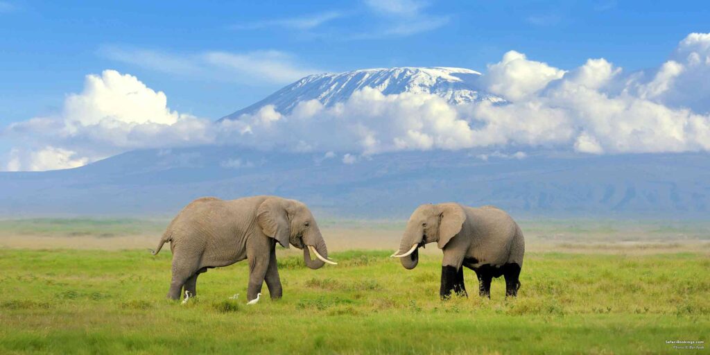 Kenya & Tanzania Big 5 Safari