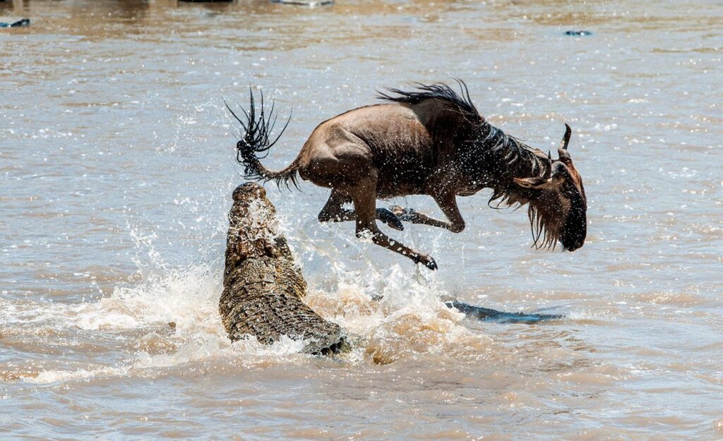 Western Serengeti -Central Serengeti;river