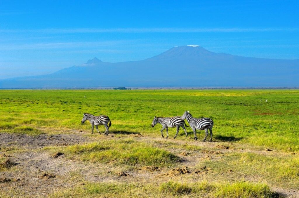 Amboseli National park