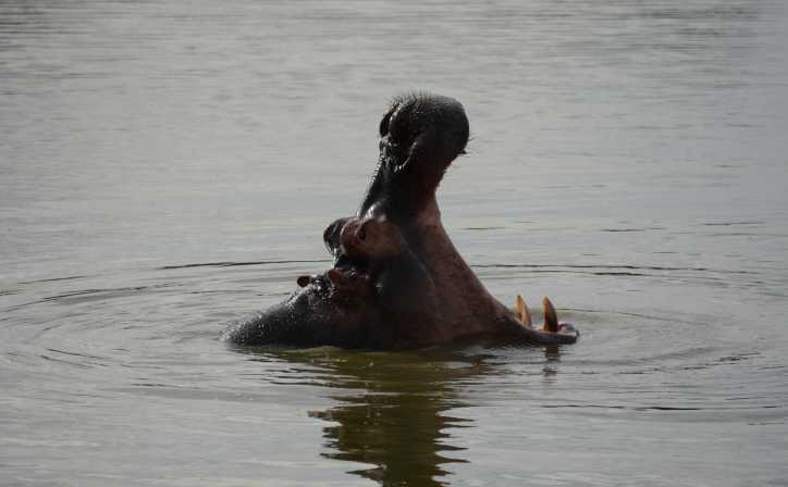 Lake Bunyonyi – Lake Mburo National Park