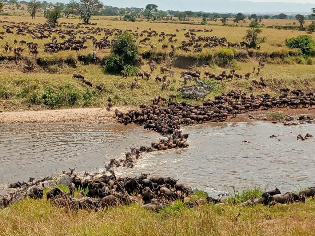 Central Serengeti - Northern Serengeti