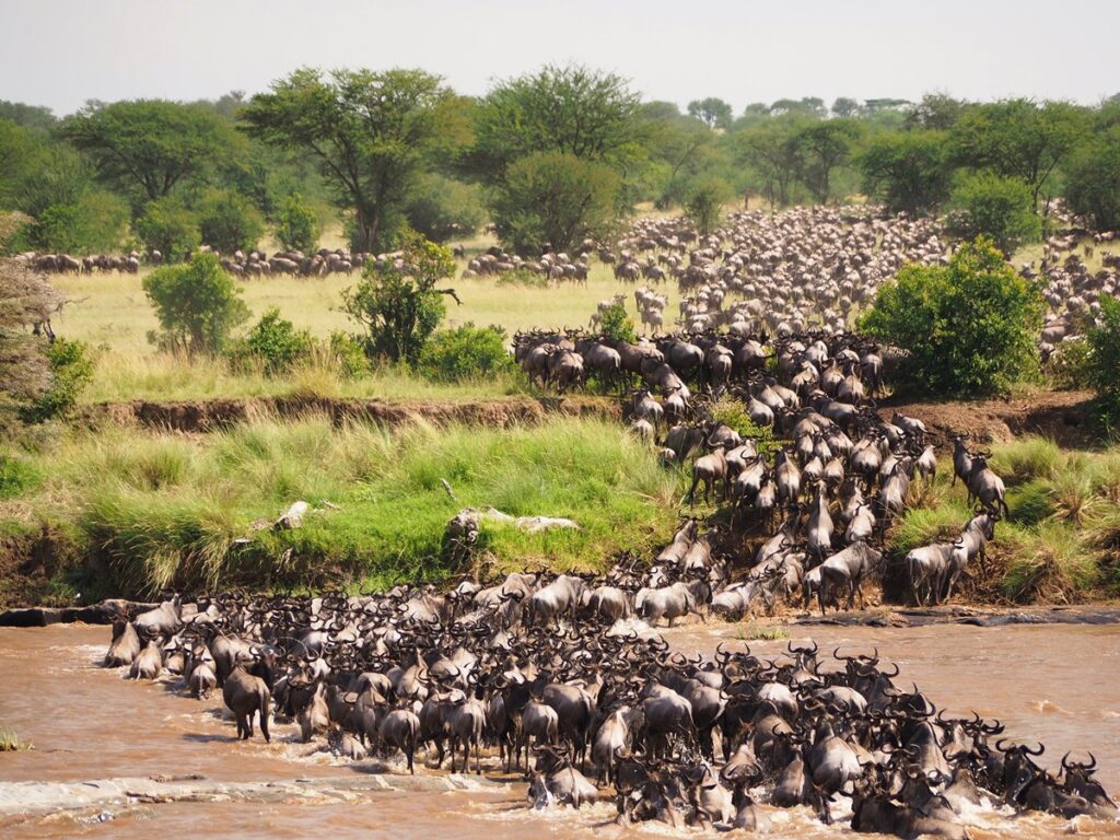 Amboseli National Park – Lake Naivasha