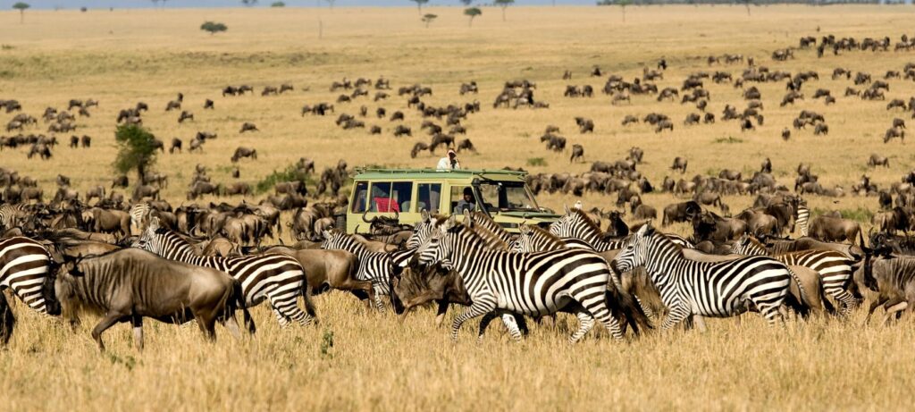 Nairobi - Amboseli National Park