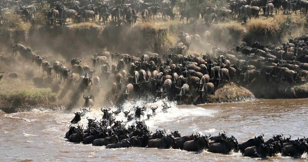 Highlights of Kenya & Great Migration Safari 6