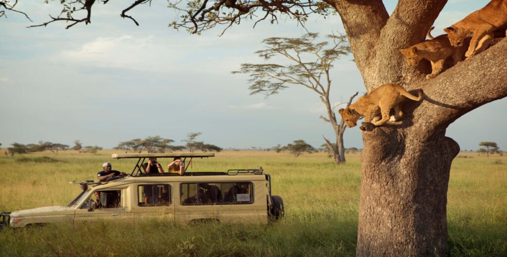 Ngorongoro - Serengeti National Park