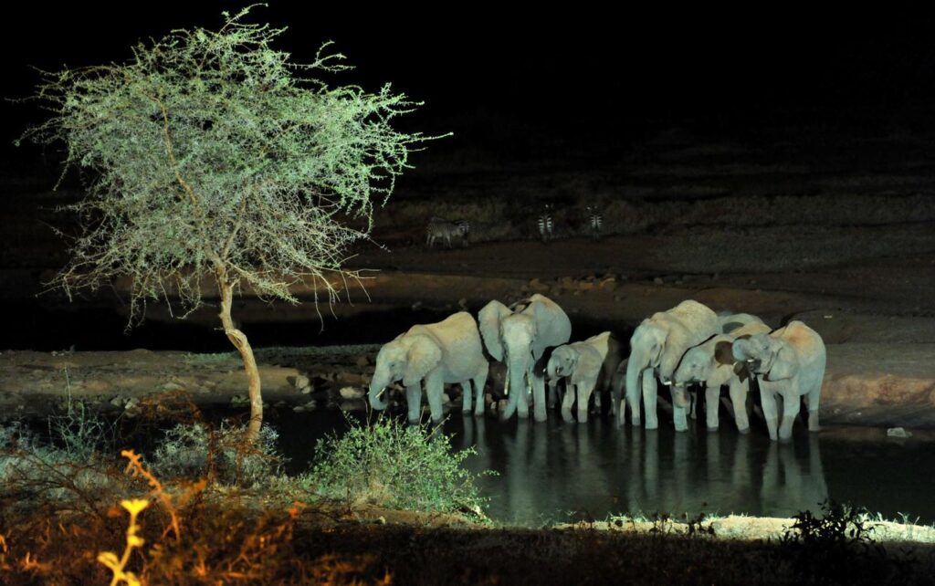 Masai Mara