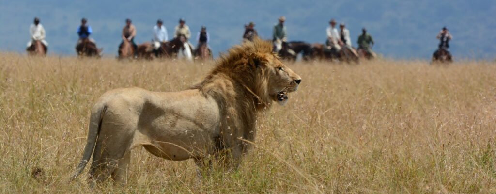 Masai Mara - Nairobi