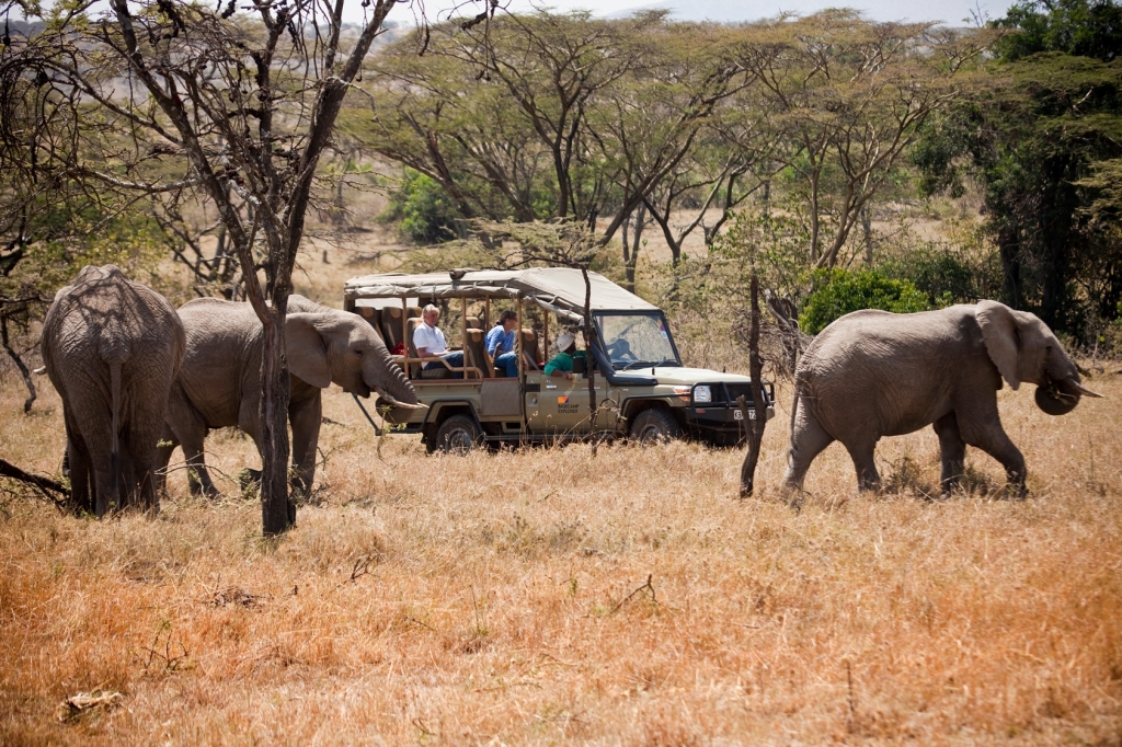 Masai Mara – Nairobi - Zanzibar