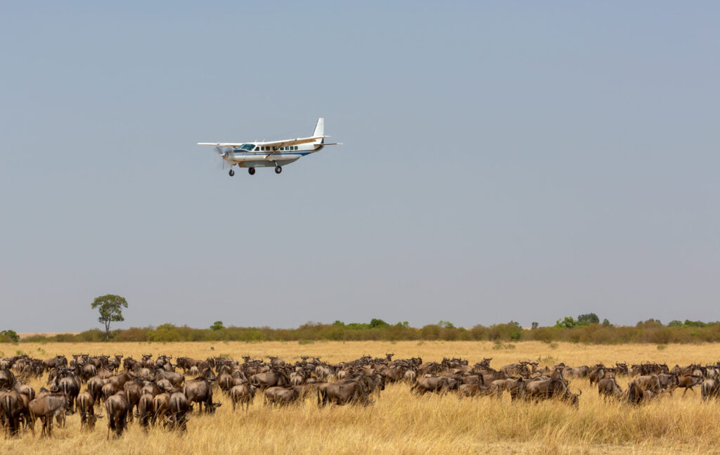 Masai Mara Sky Safari