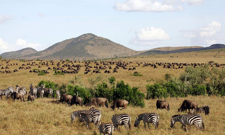 Masai Mara – Serengeti National Park