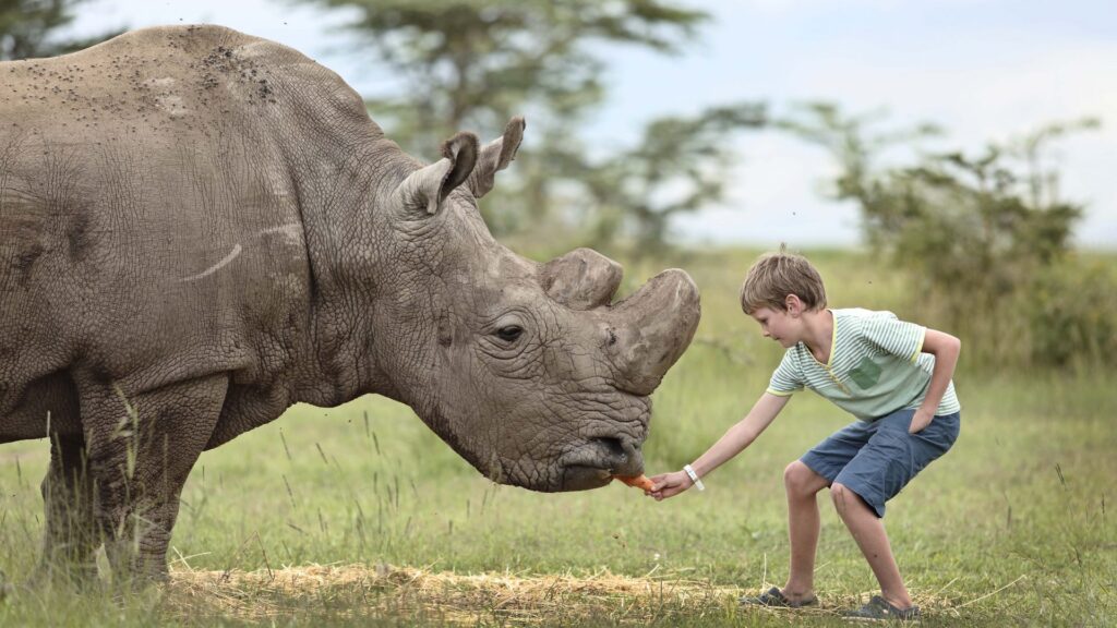 Ol Pejeta Conservancy