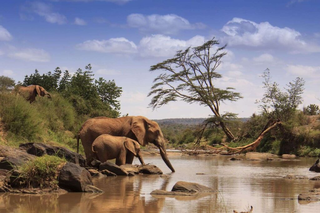 Samburu Game Reserve