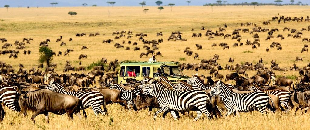 Serengeti-National-Park