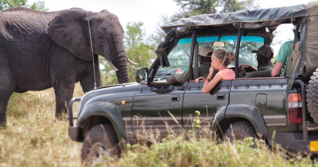 Serengeti Safari Tours