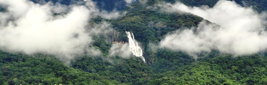 Udzungwa Mountain National Park