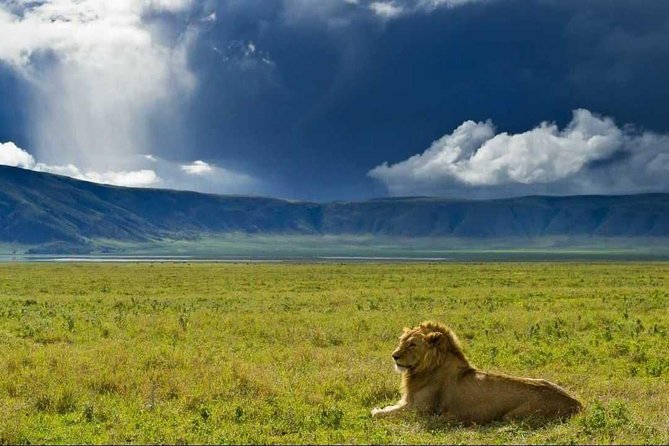 Serengeti - Ngorongoro Conservation Area