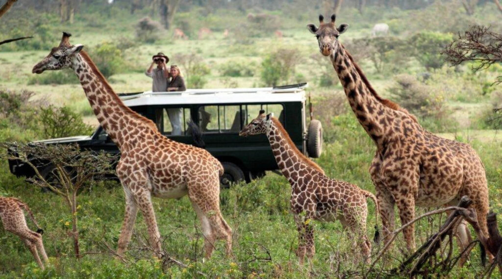 Masai Mara National Reserve