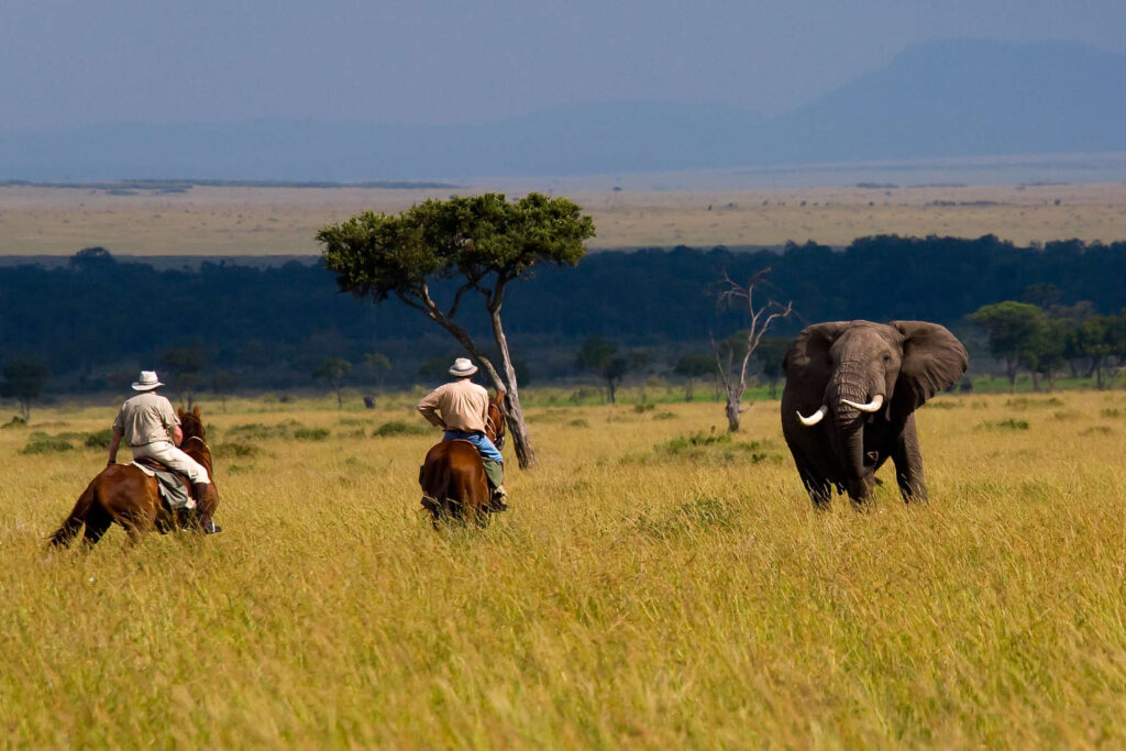 Horseback Riding - Kampala