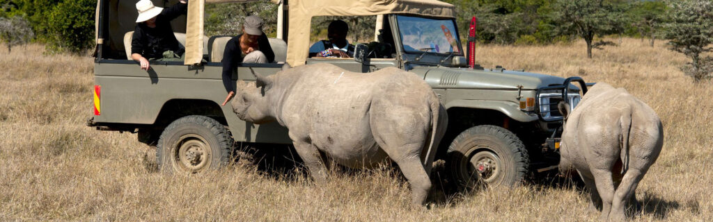 Kenya Wildlife Safari