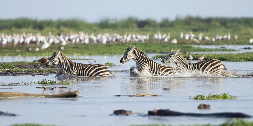 lake manyara national park