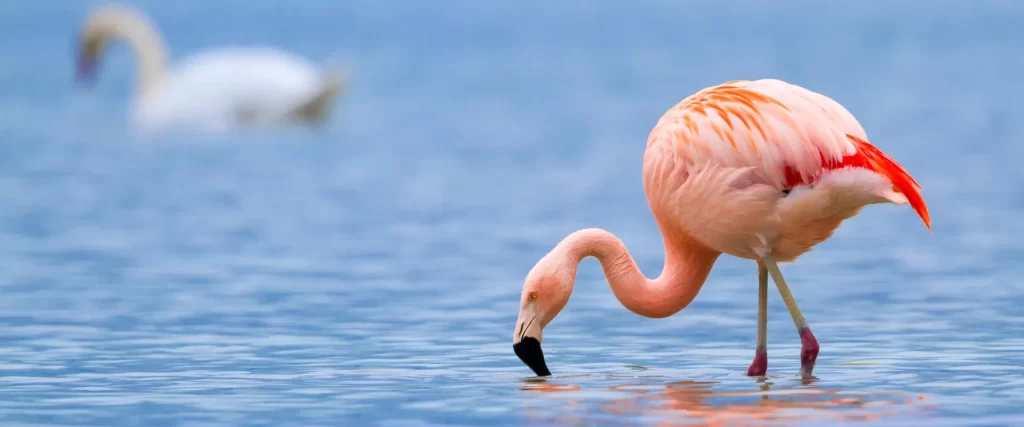 lake manyara national park