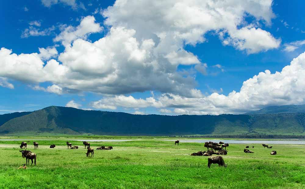 Lake Eyasi – Ngorongoro Crater