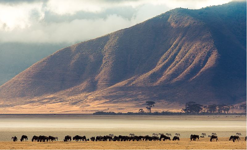 Karatu - Ngorongoro Crater - Central Serengeti