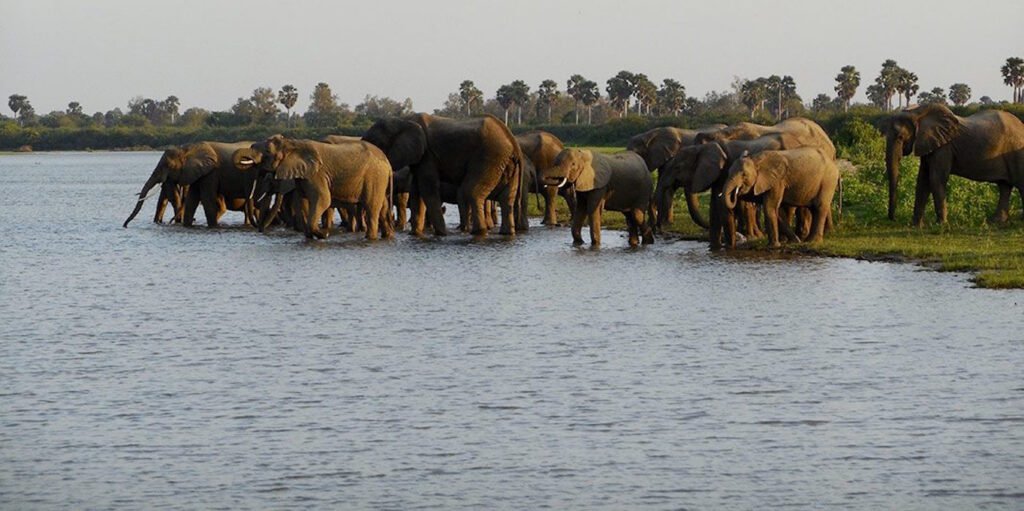 Dar es Salaam –Nyerere National Park