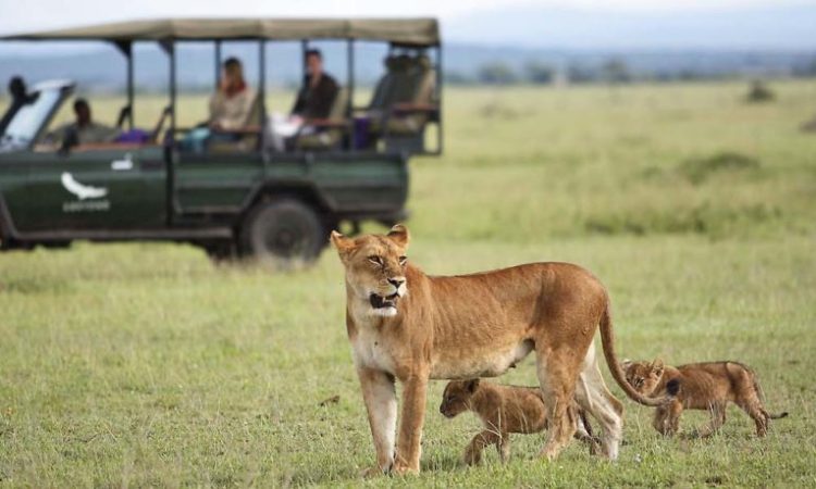 End of Dream African Safari