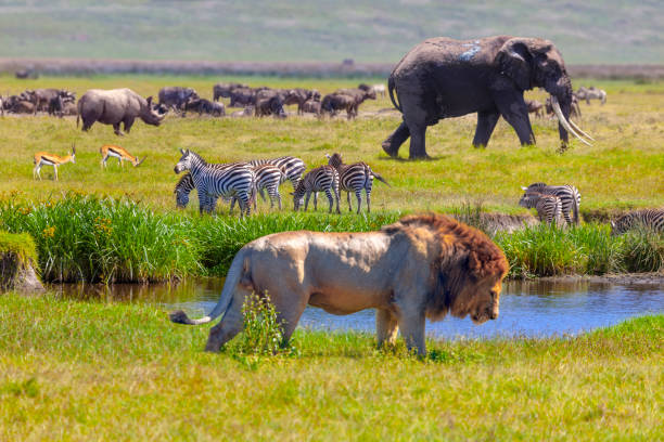 serengeti-national-park