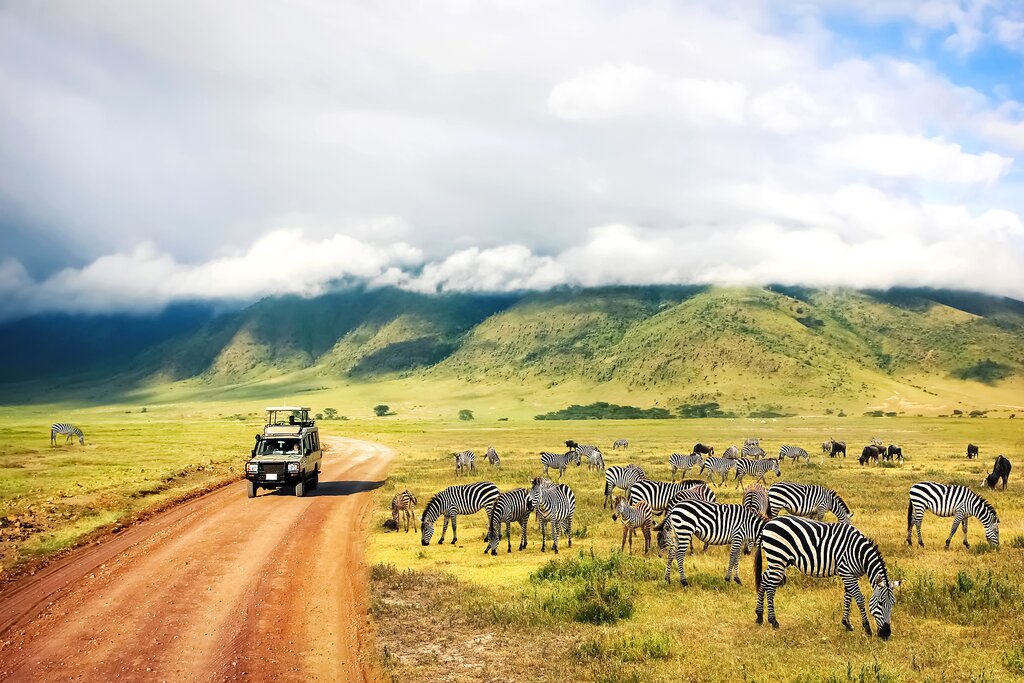 East Africa Great National Parks & Zanzibar Beach