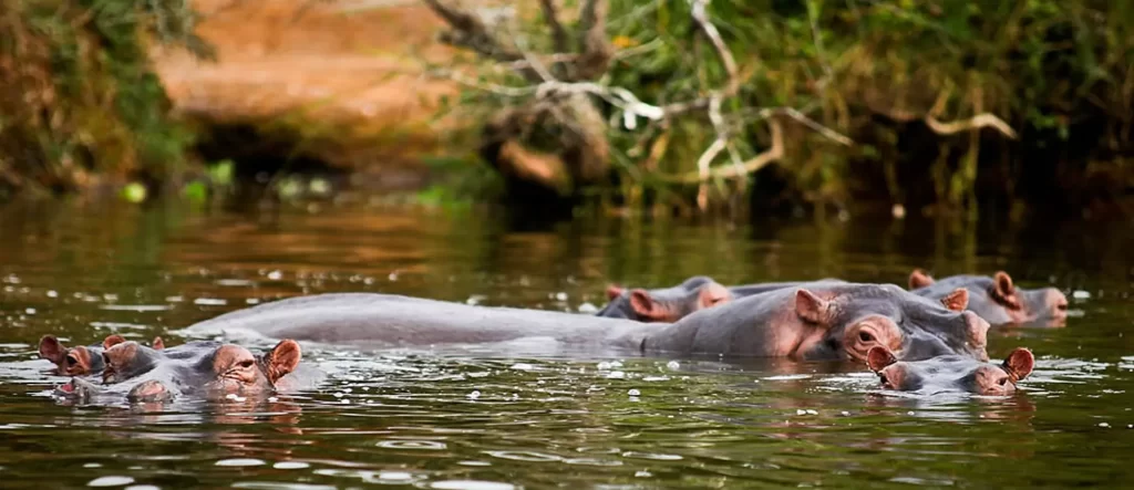 lake-mburo-national-park-2