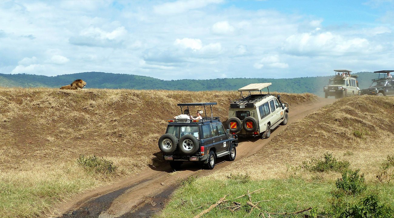 Driving Safaris