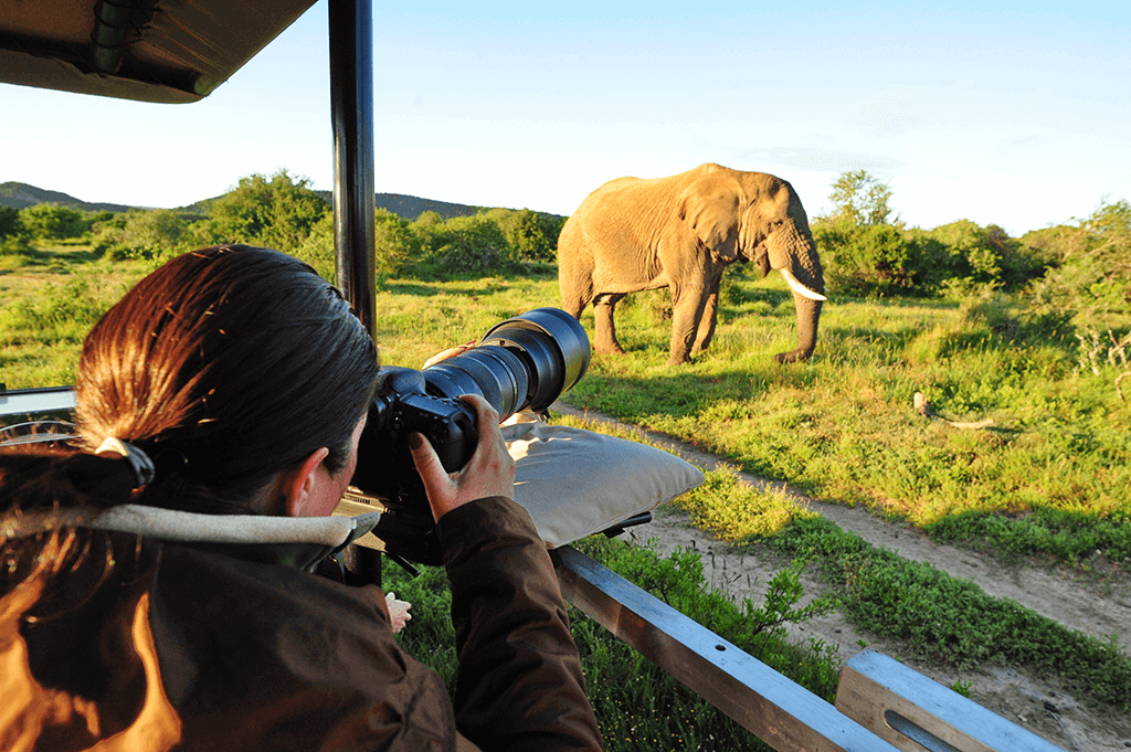 Best Time for Photographers