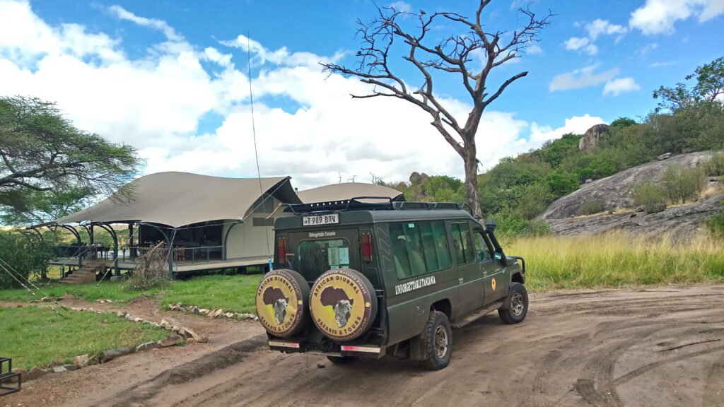 Luxury Honeymoon Safari