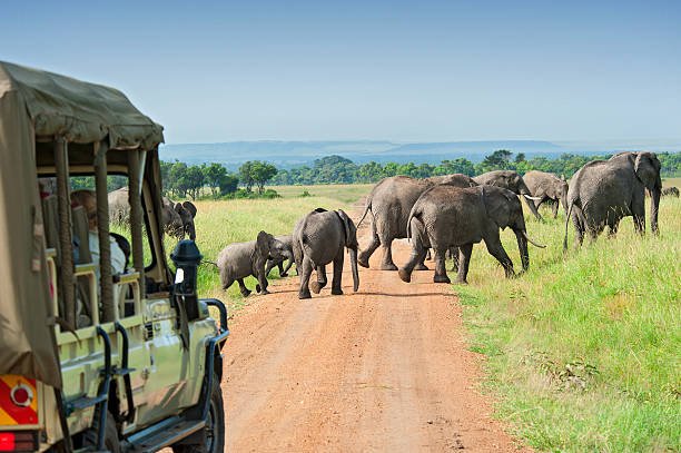 The top 10 reasons to visit Kenya