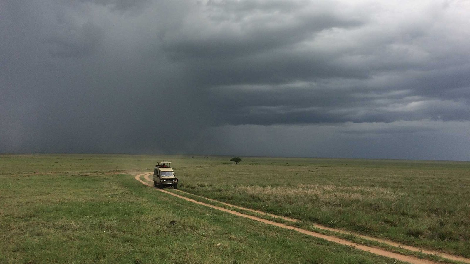 serengeti rainy season